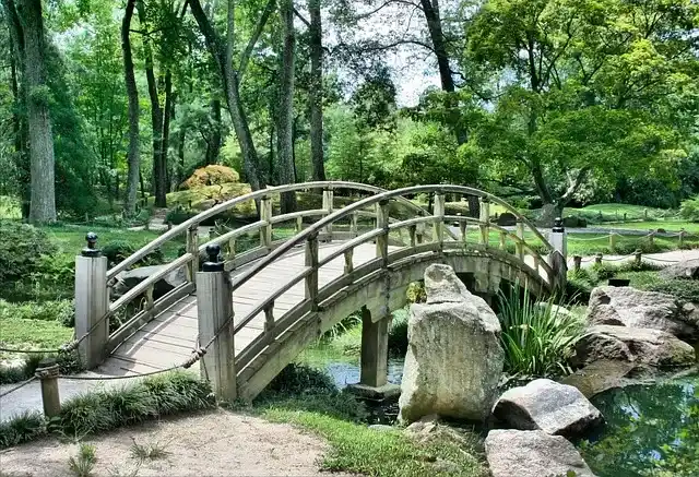 「公園」と「庭園」の違いとは？意味や使い分けを詳しく解説