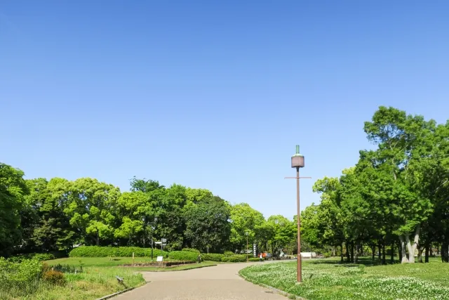 緑地　公園　違い