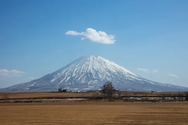 究極　最高　違い