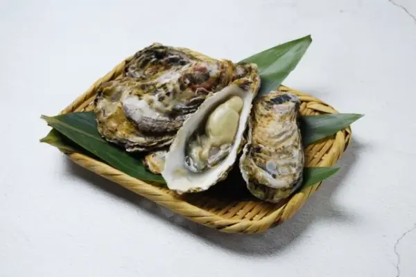 牡蠣　牡蛎　違い　意味　使い分け　漢字　由来